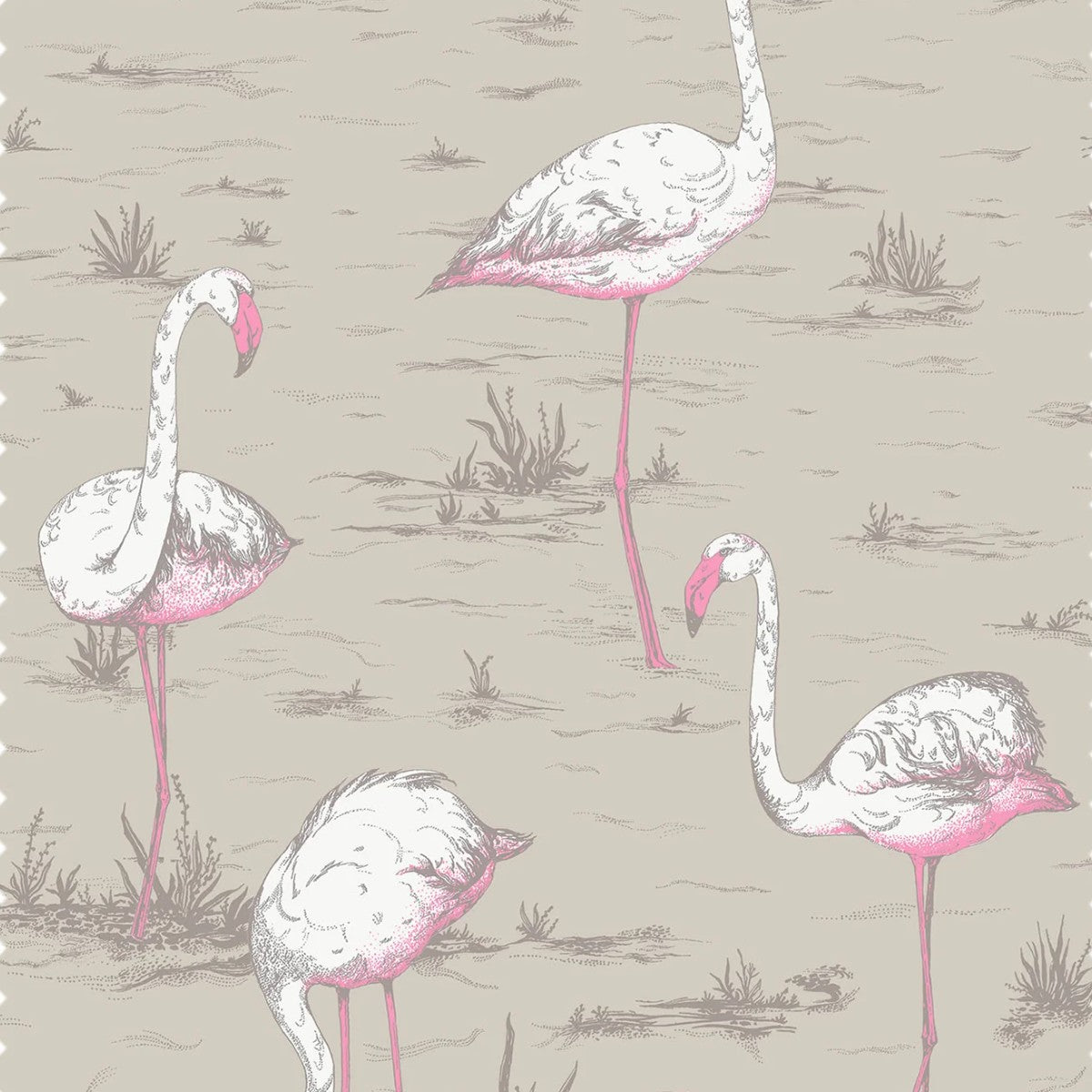 Cole & Son | Flamingos Linen
