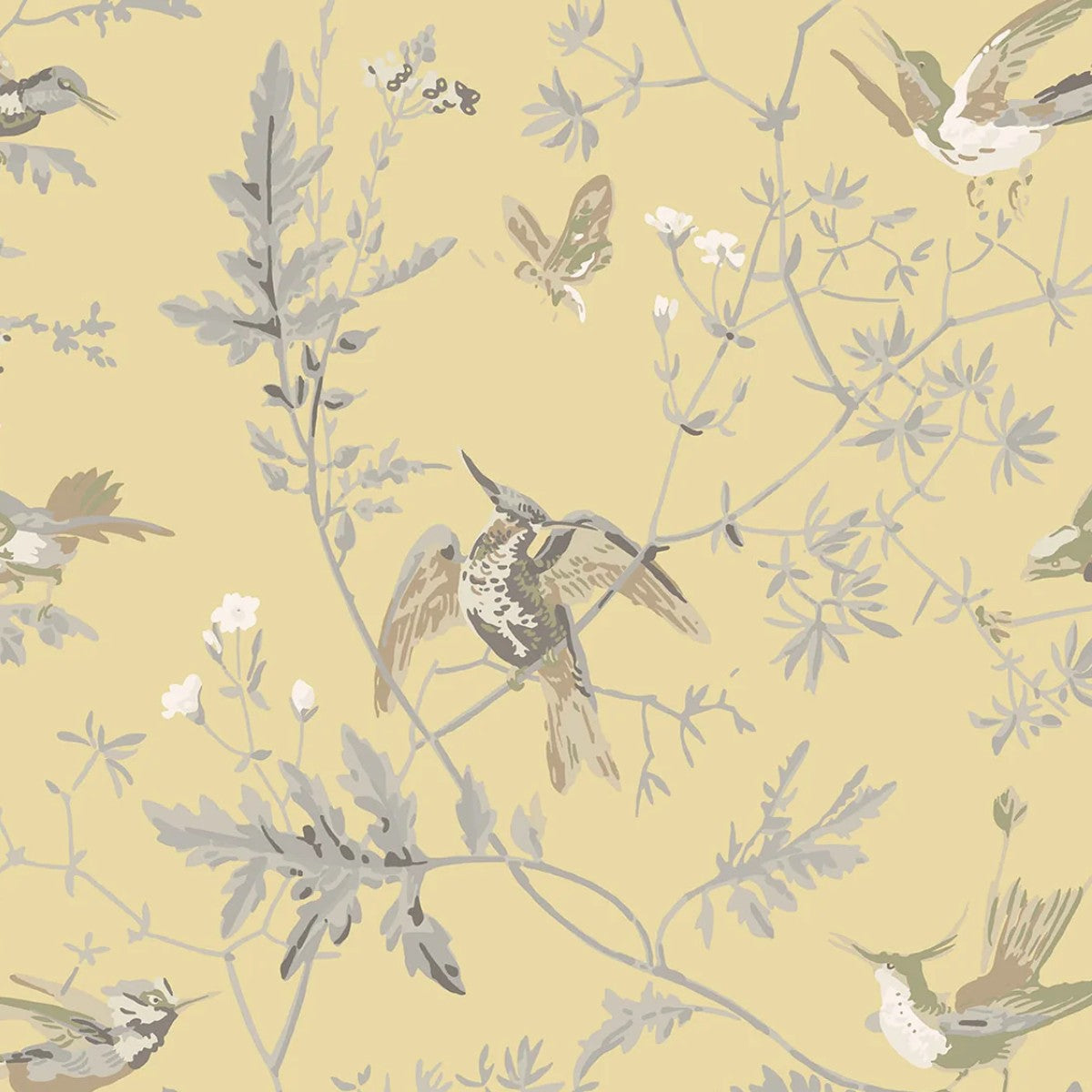 Cole & Son | Hummingbirds Silk