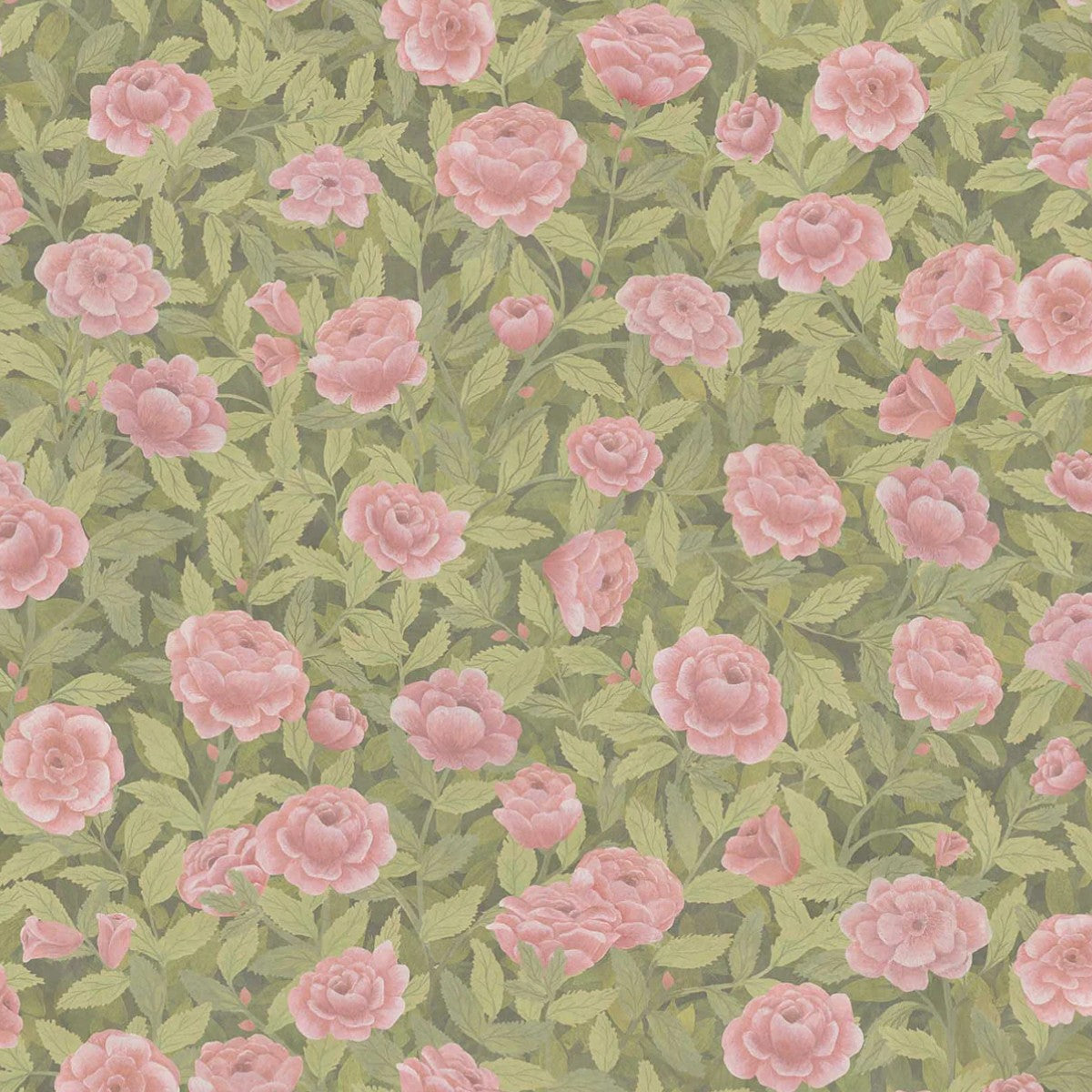 Cole & Son | Idyll Roses Linen Union