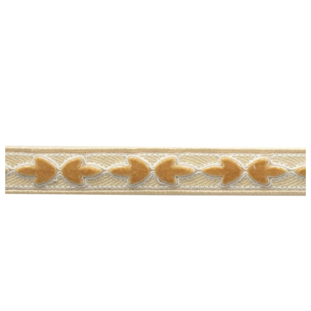 Samuel and Sons | Bagatelle Velvet Border