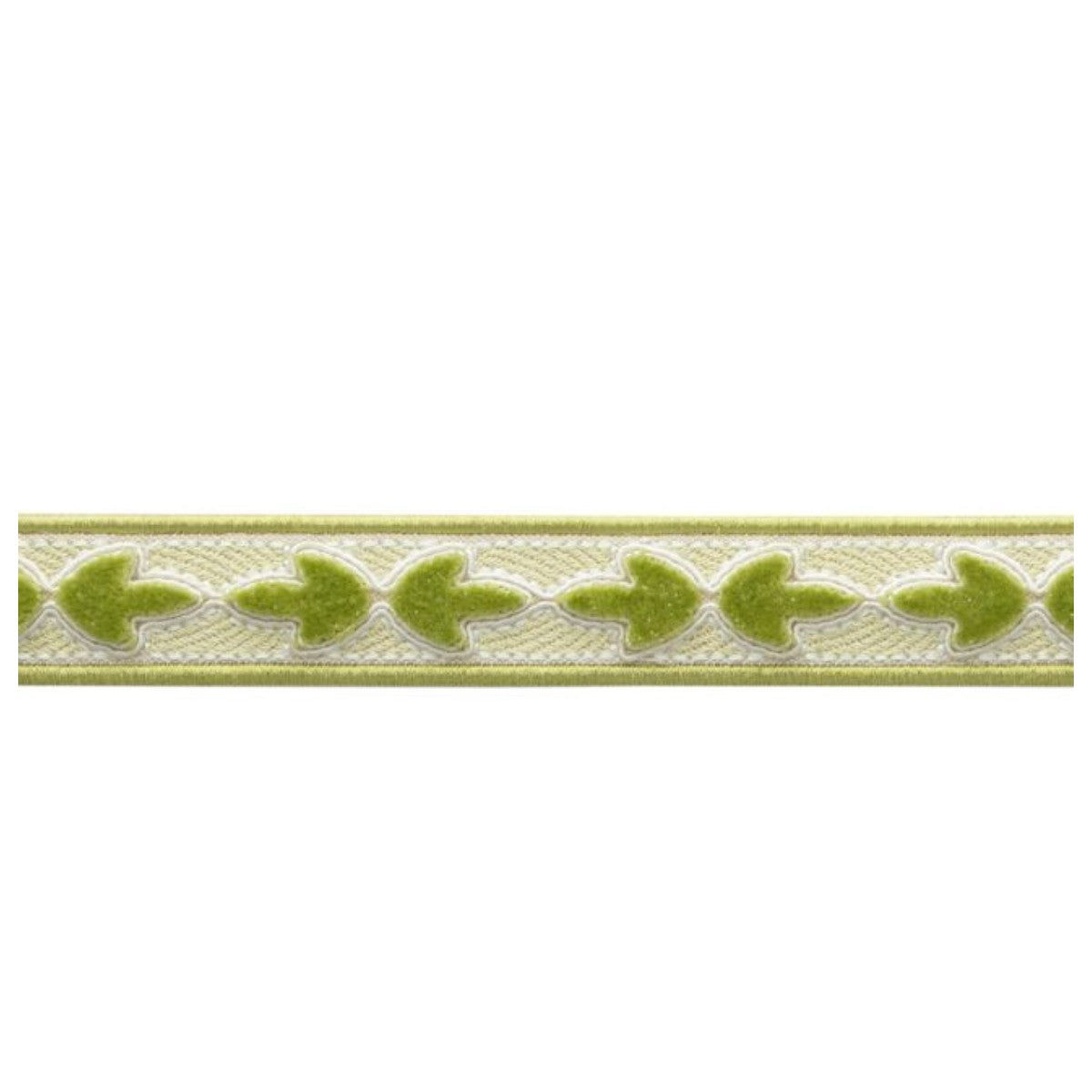 Samuel and Sons | Bagatelle Velvet Border