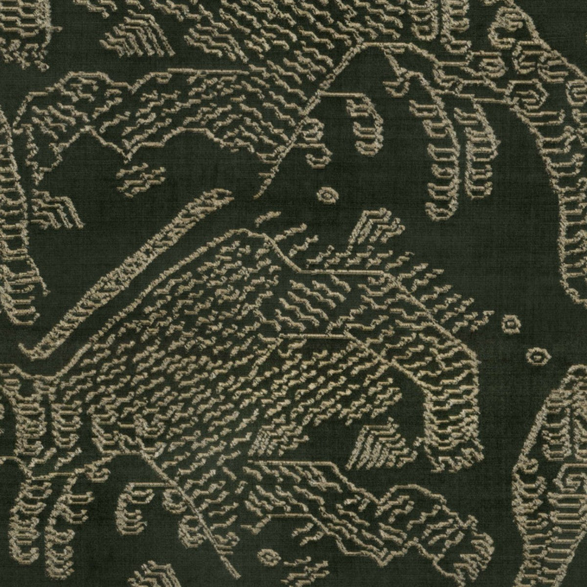 DEDAR | Tiger Mountain