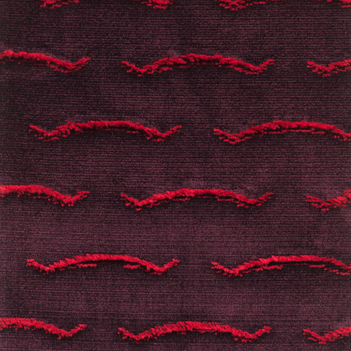 DEDAR | Nouvelles Vagues