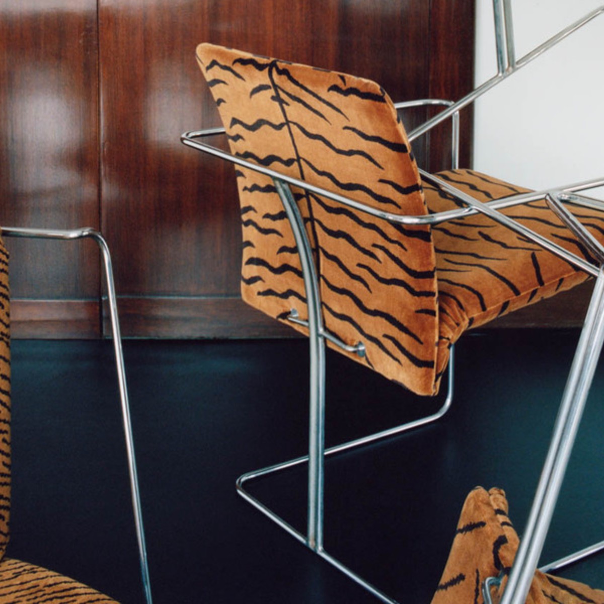 DEDAR | A Tiger In The Orangerie