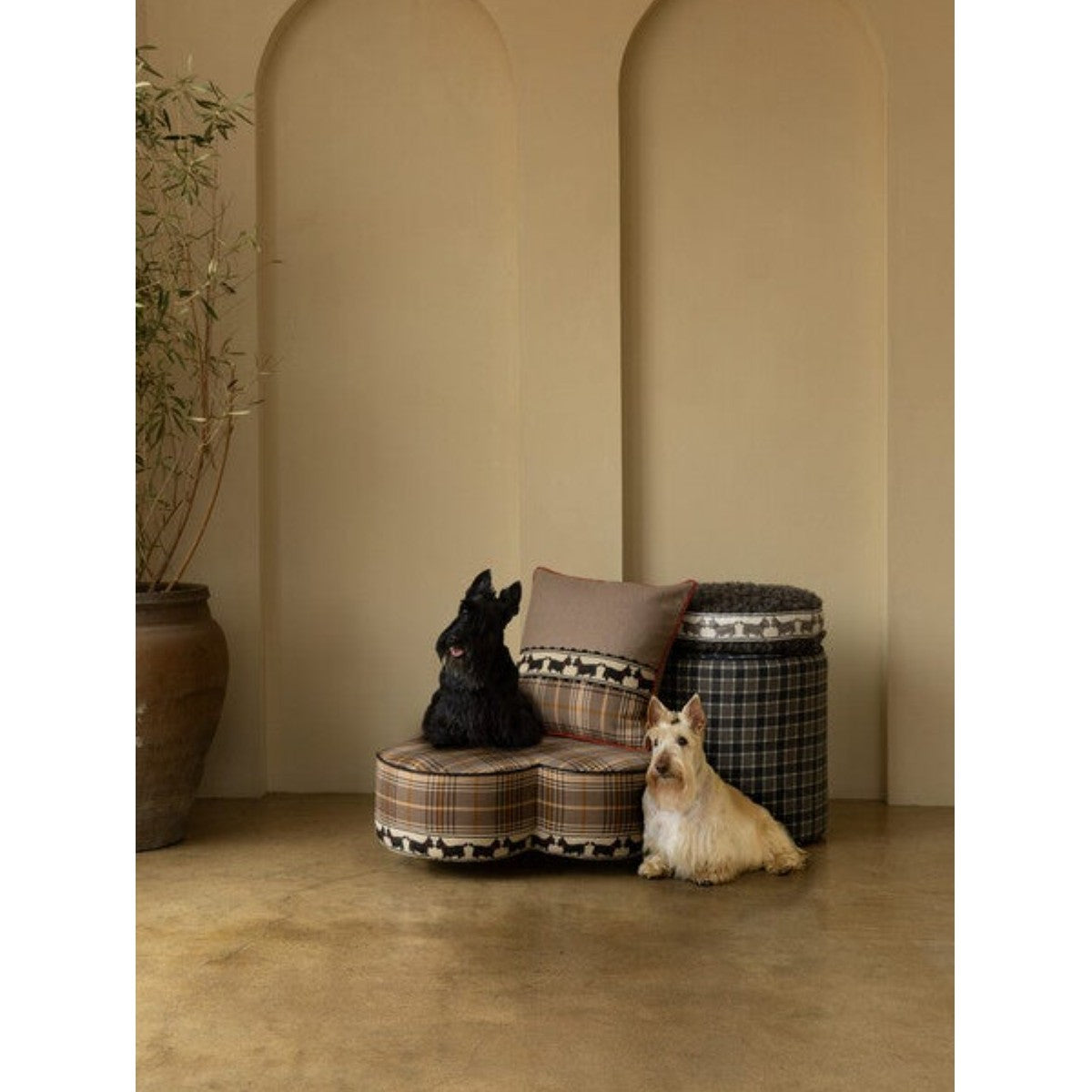 Samuel and Sons | Scottie Embroidered Border
