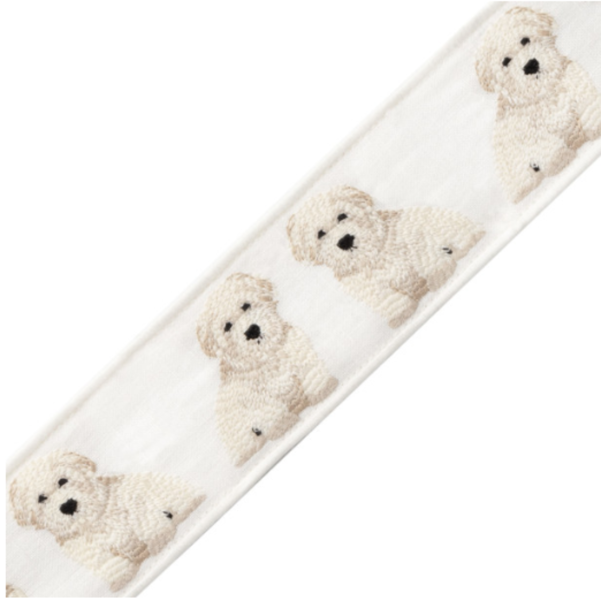 Samuel and Sons | Coton de Tulear Border