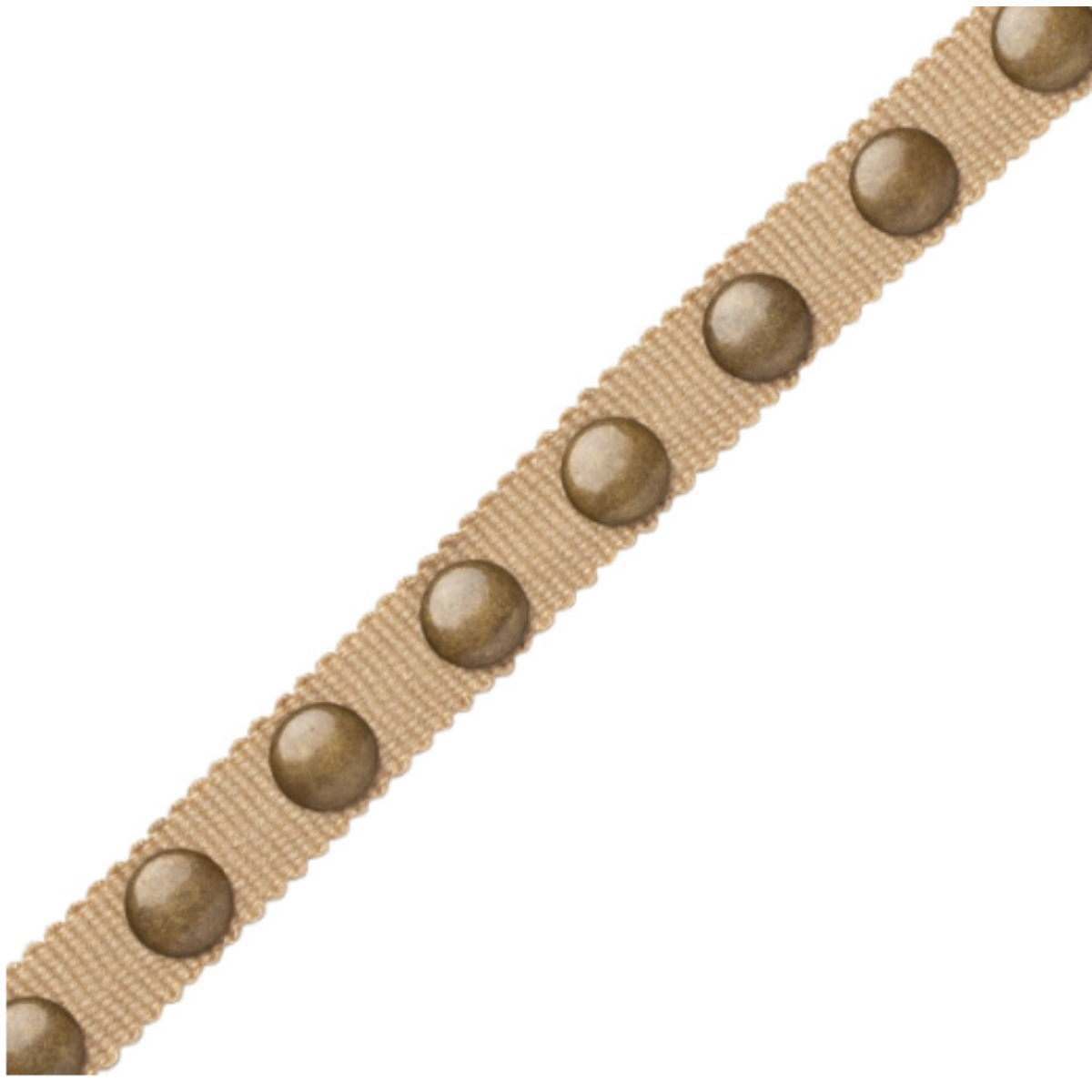 Samuel and Sons | Noma Studded Gimp