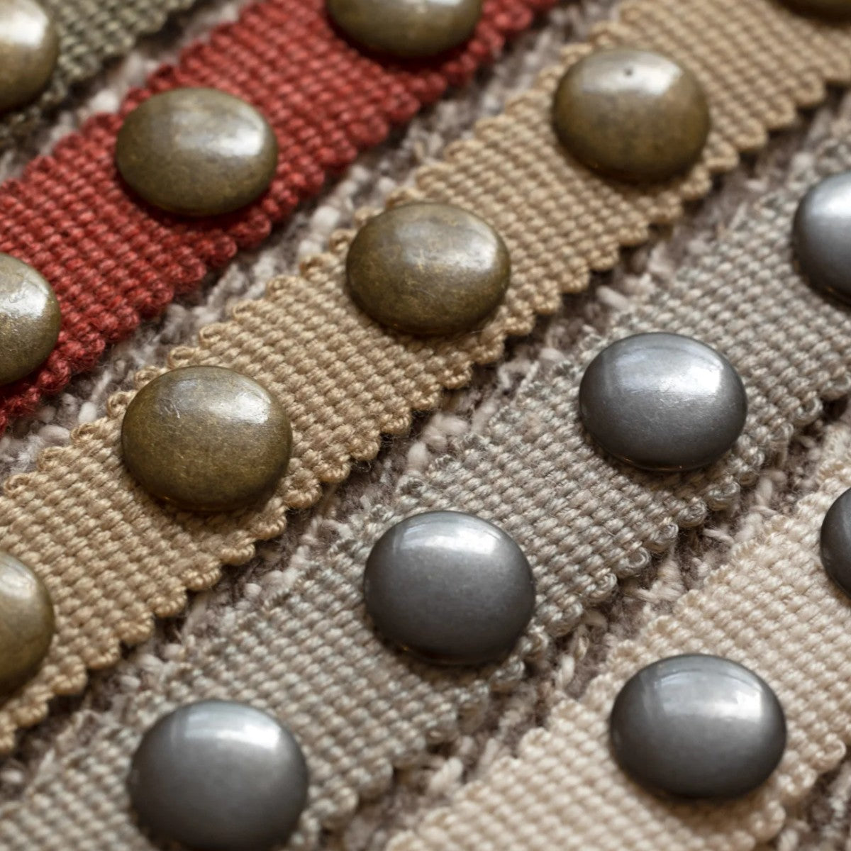 Samuel and Sons | Noma Studded Gimp