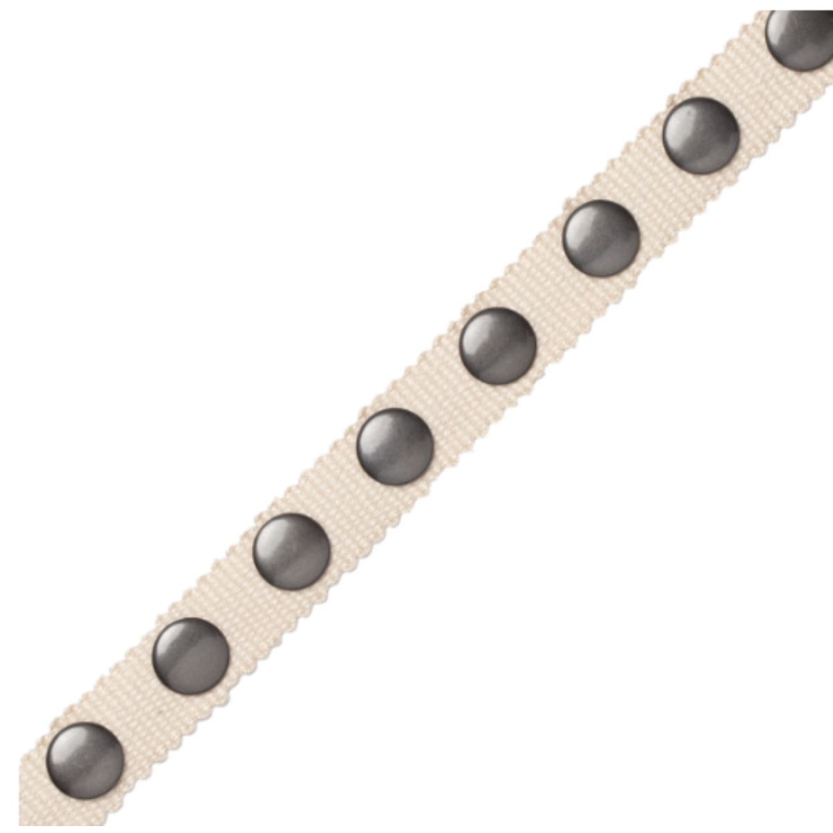 Samuel and Sons | Noma Studded Gimp