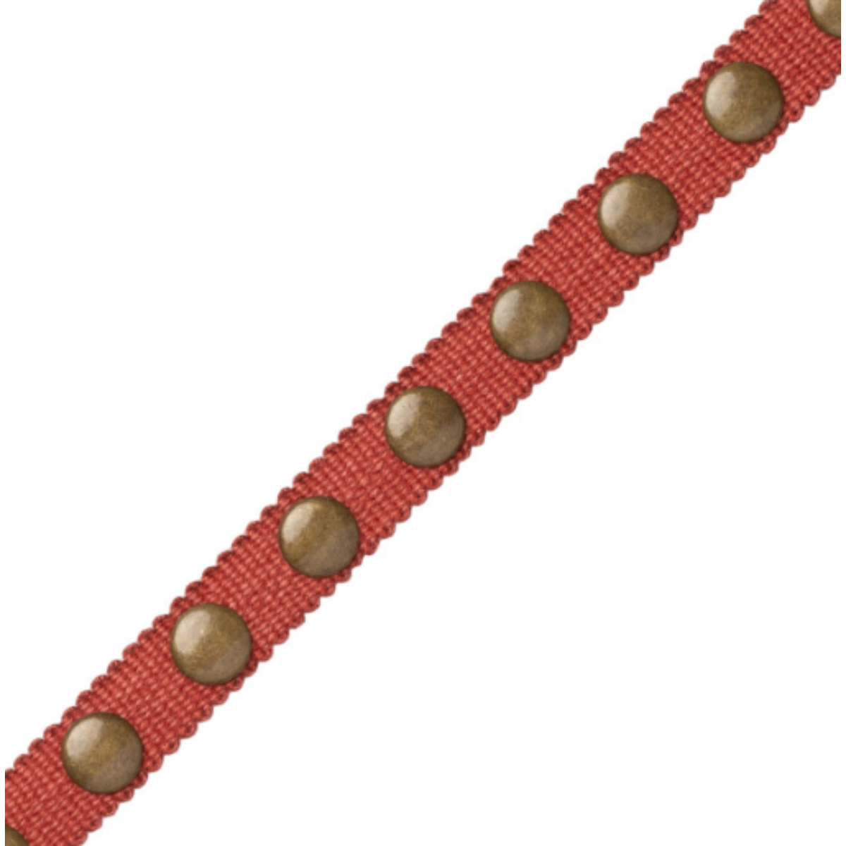 Samuel and Sons | Noma Studded Gimp