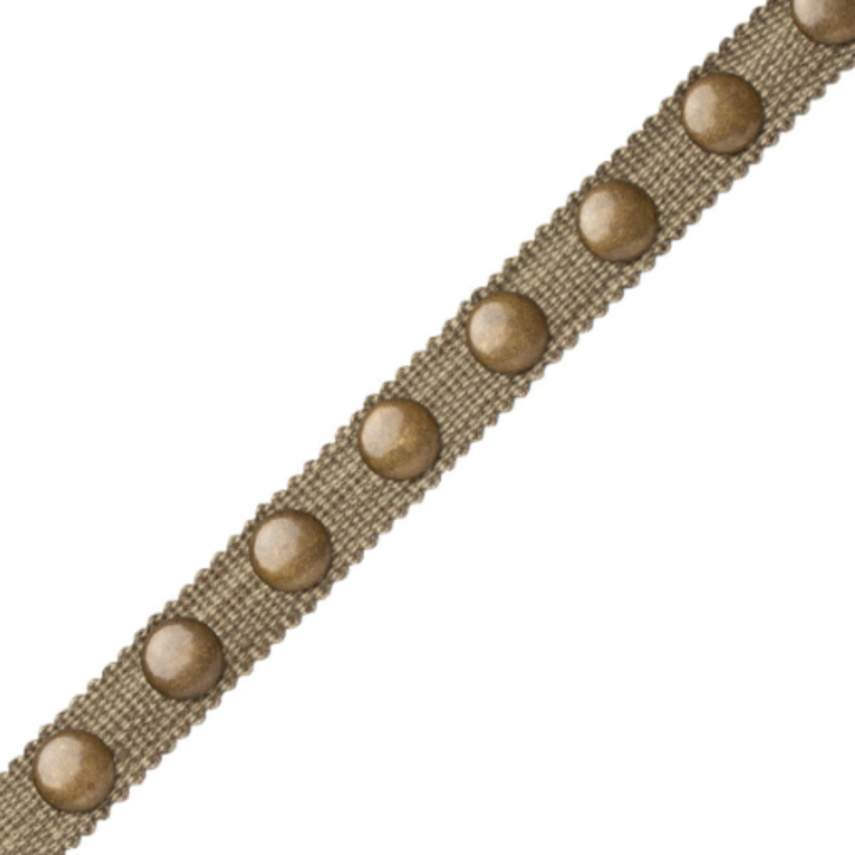 Samuel and Sons | Noma Studded Gimp