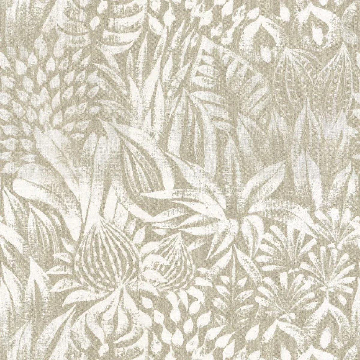 Casamance | Valarta