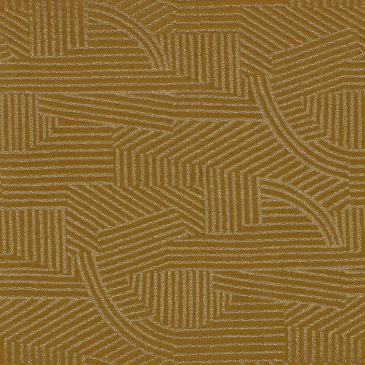 Casamance | Vraisemblance