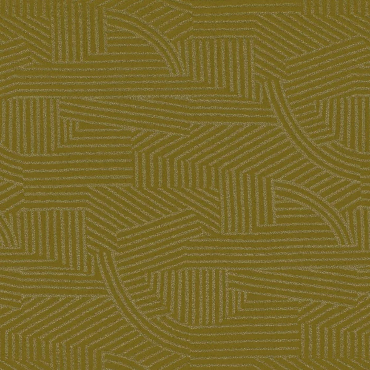 Casamance | Vraisemblance
