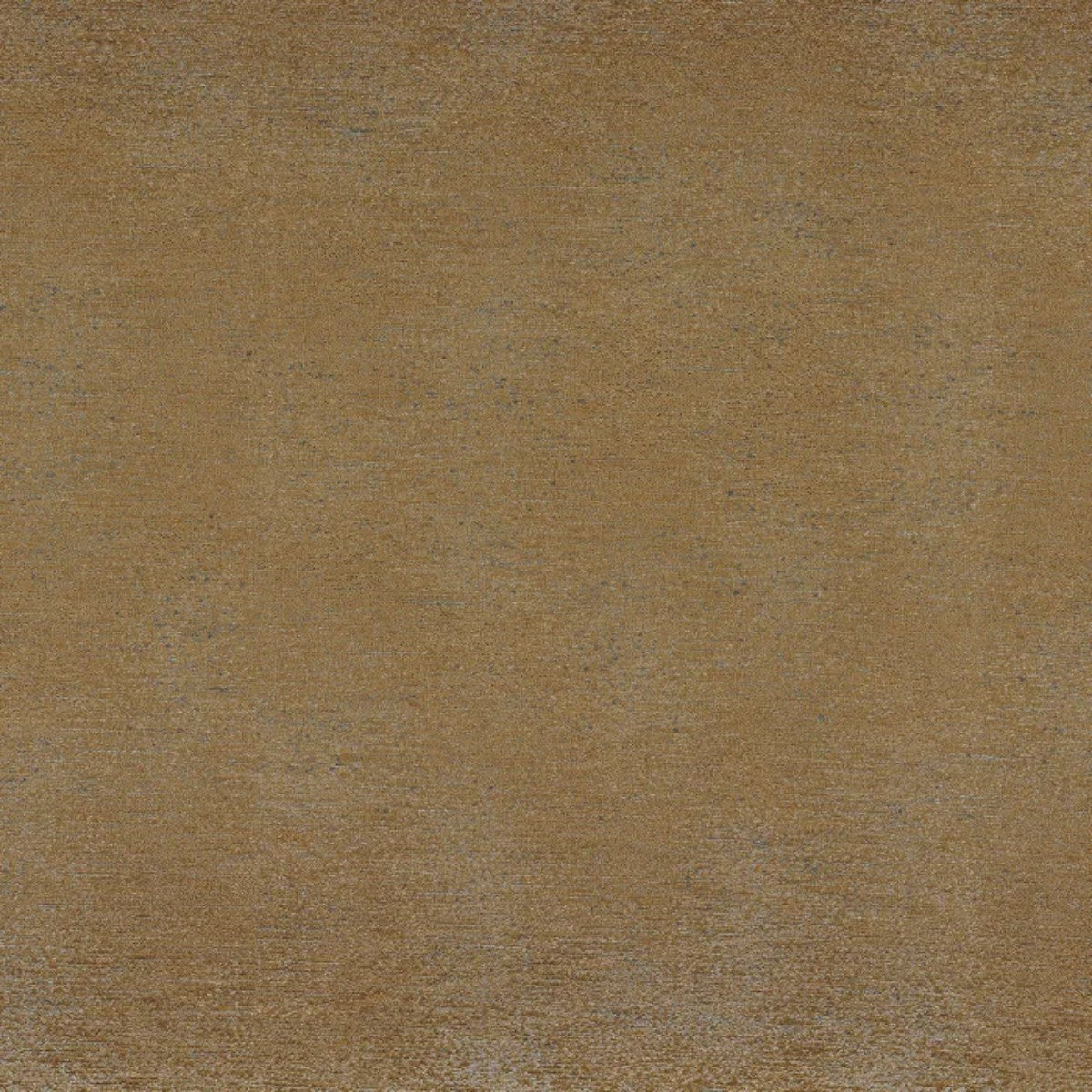 Casamance | Raggi