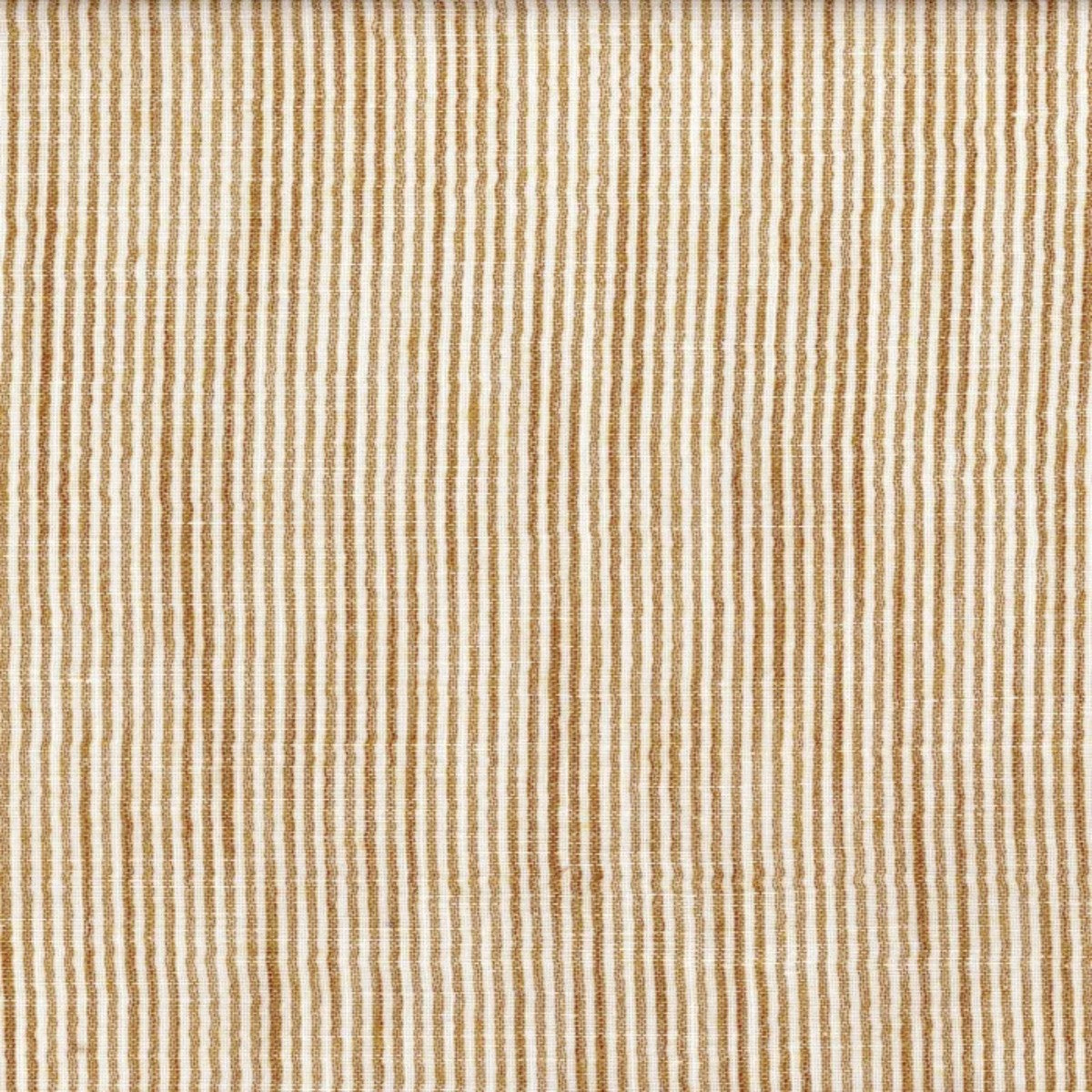 Casamance | Junon