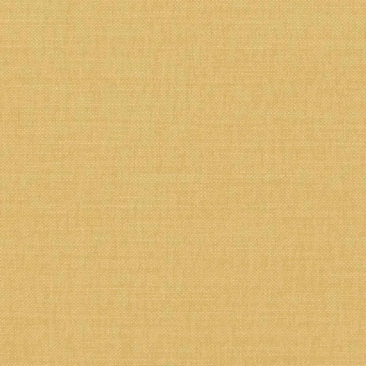 Casamance | Paris Texas