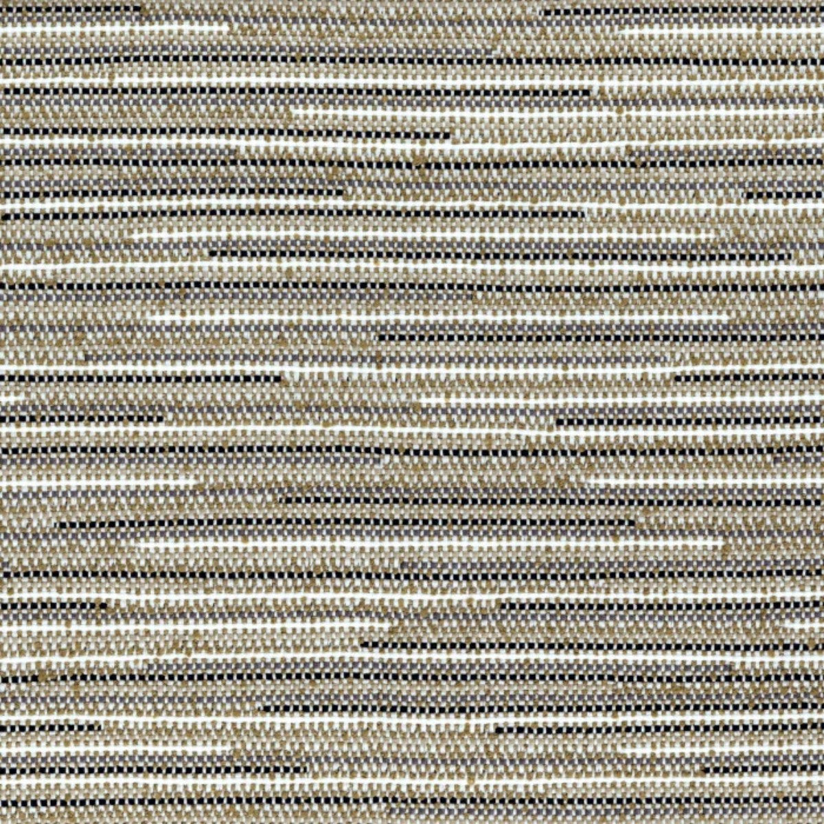 Casamance | Carillo