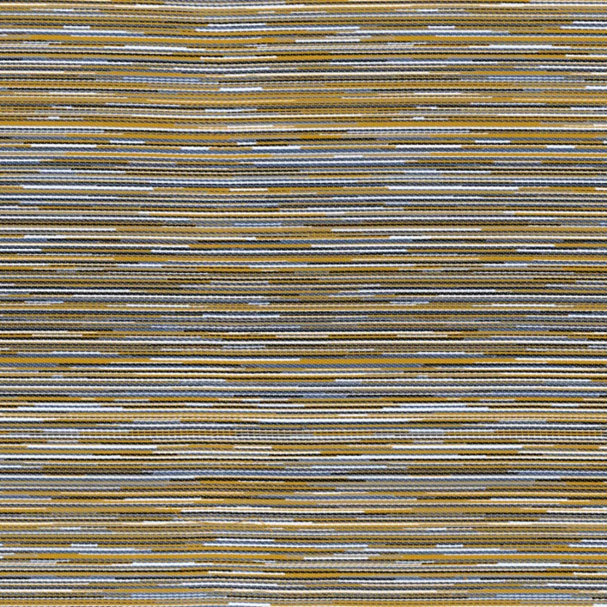 Casamance | Averno