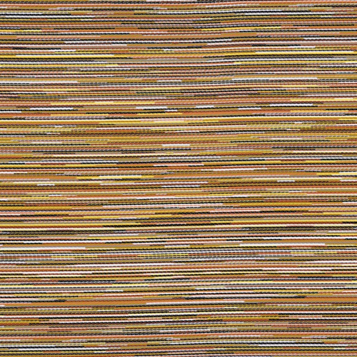 Casamance | Averno