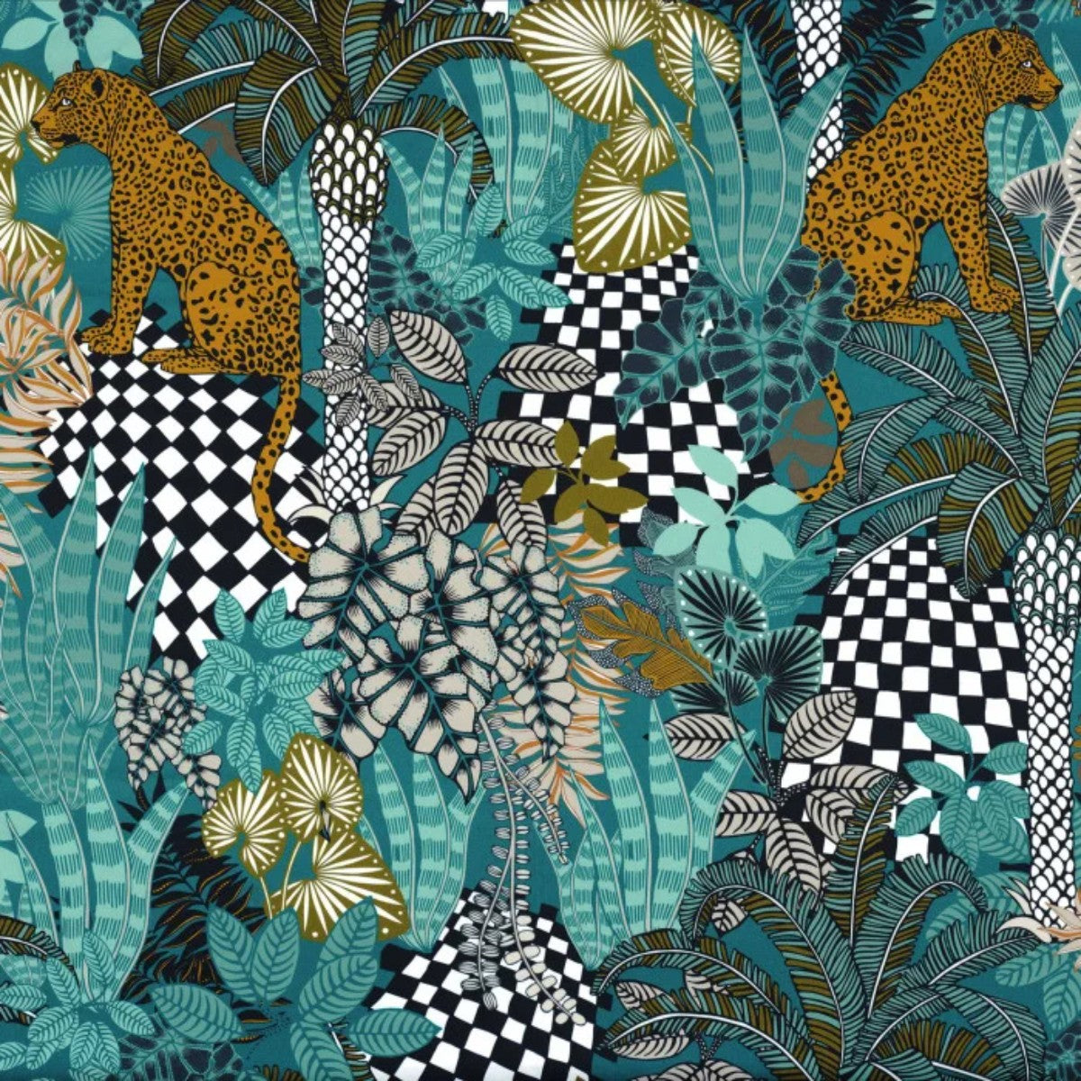 Casamance | Neofelis