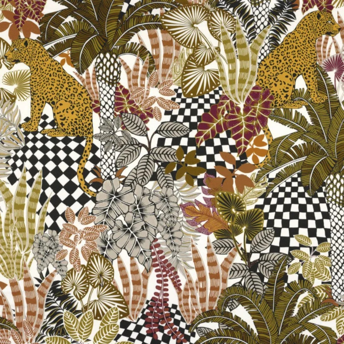 Casamance | Neofelis
