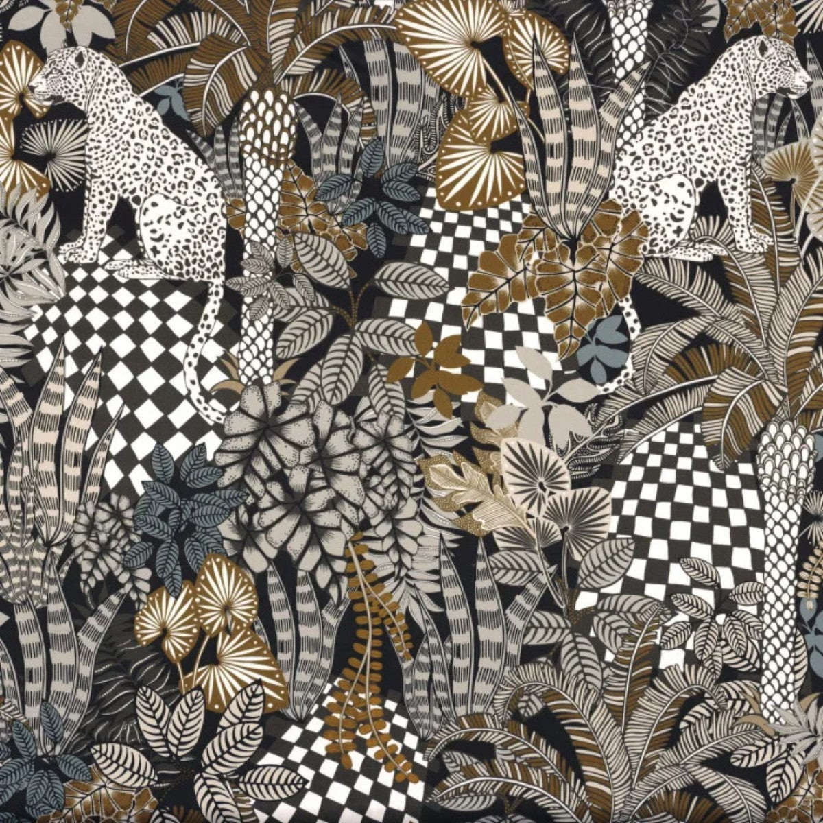 Casamance | Neofelis