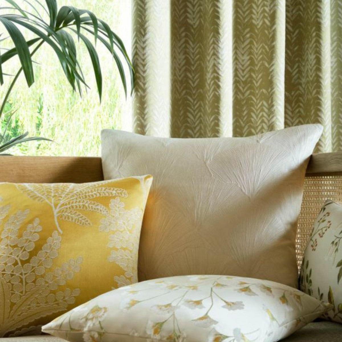 Ashley Wilde | Maidenhair