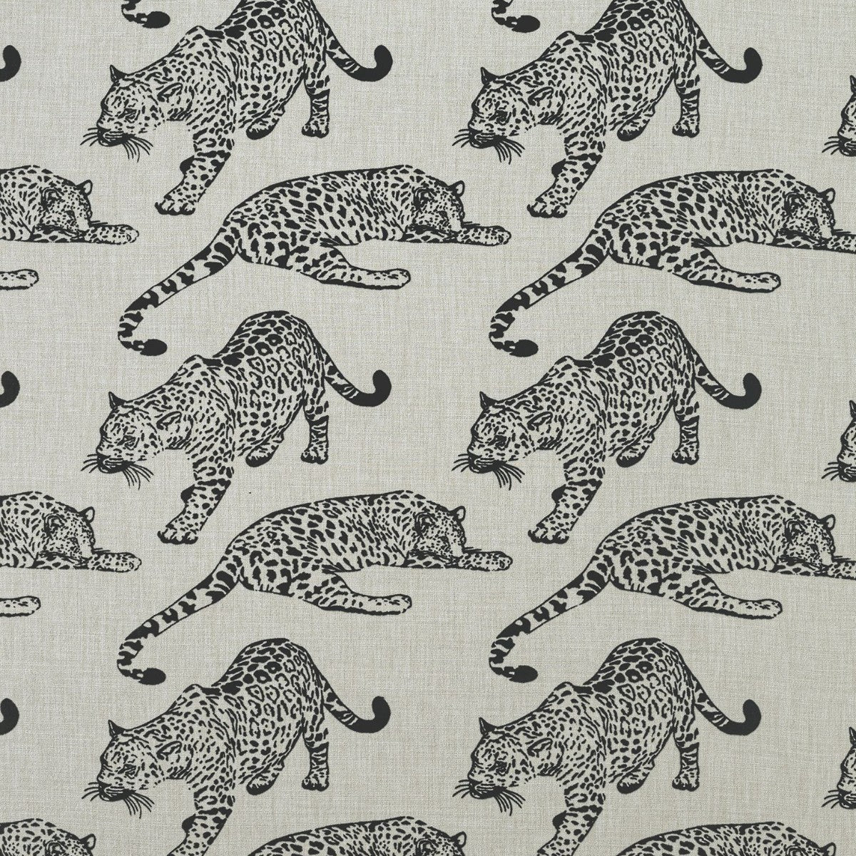Ashley Wilde | Botswana