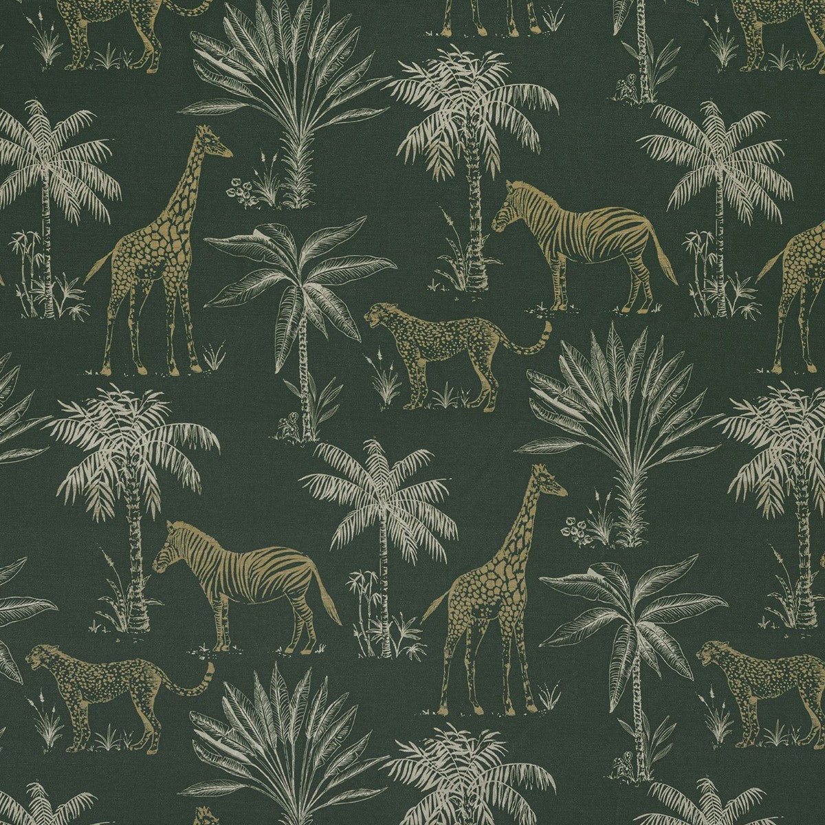 Ashley Wilde | Safari