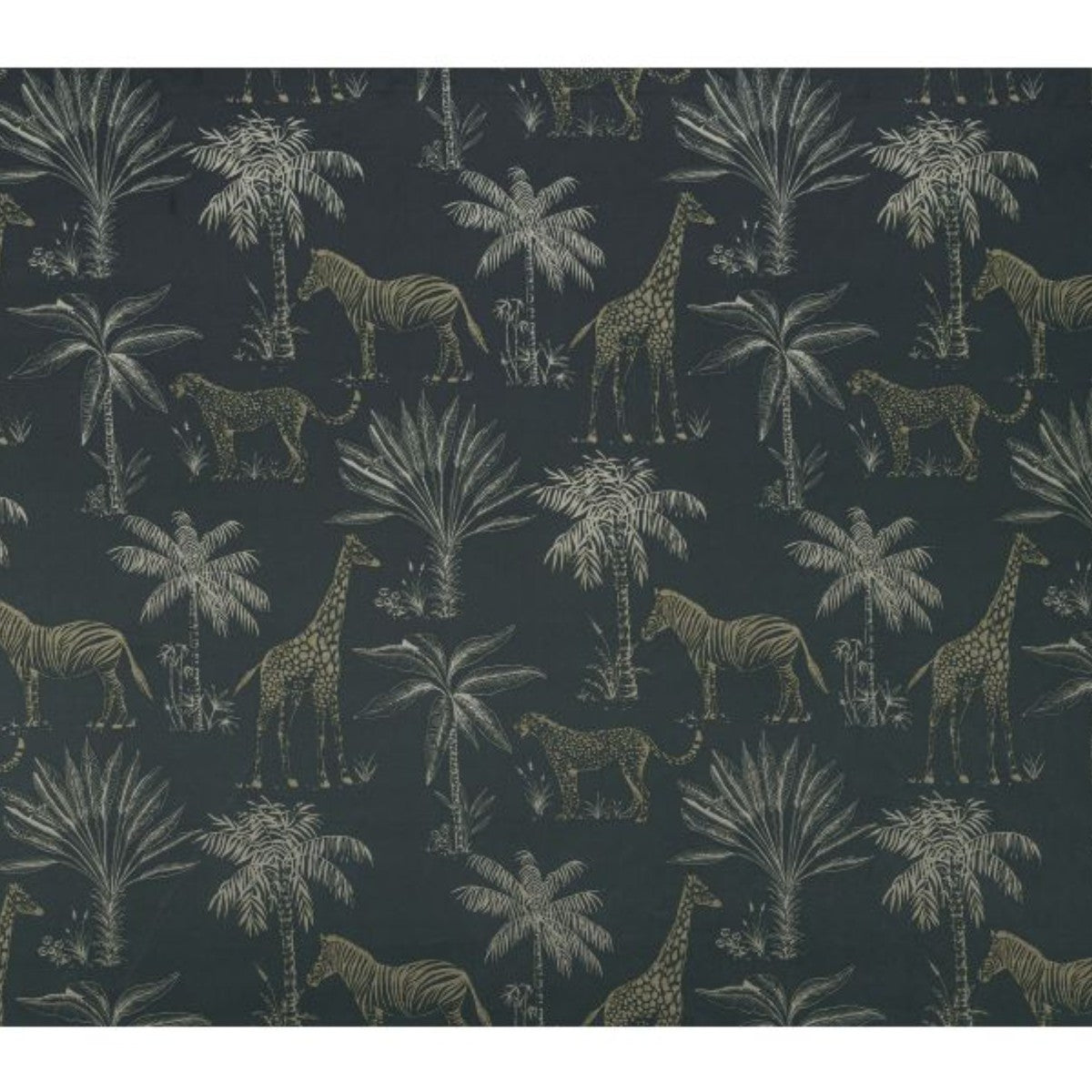 Ashley Wilde | Safari