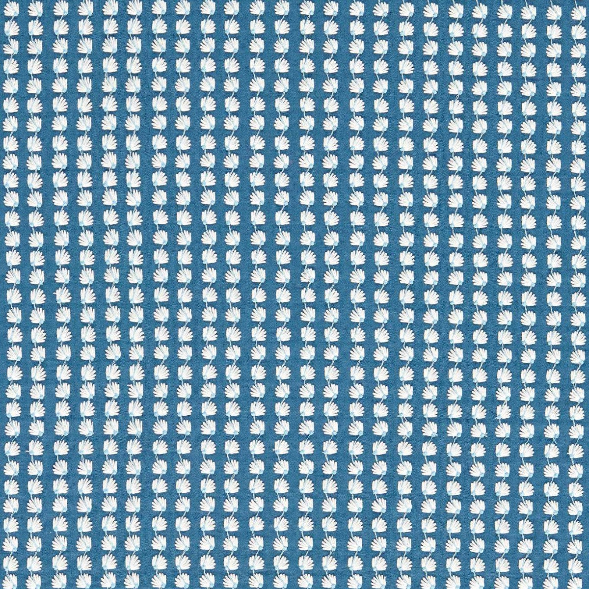 Harlequin | Silene