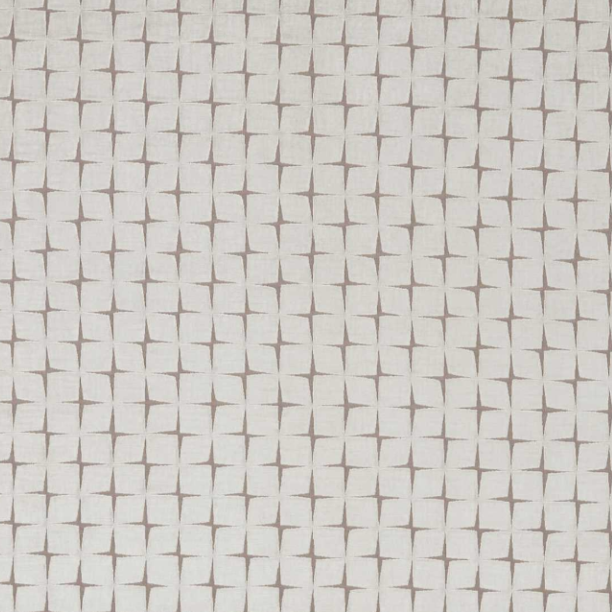 Harlequin | Issoria