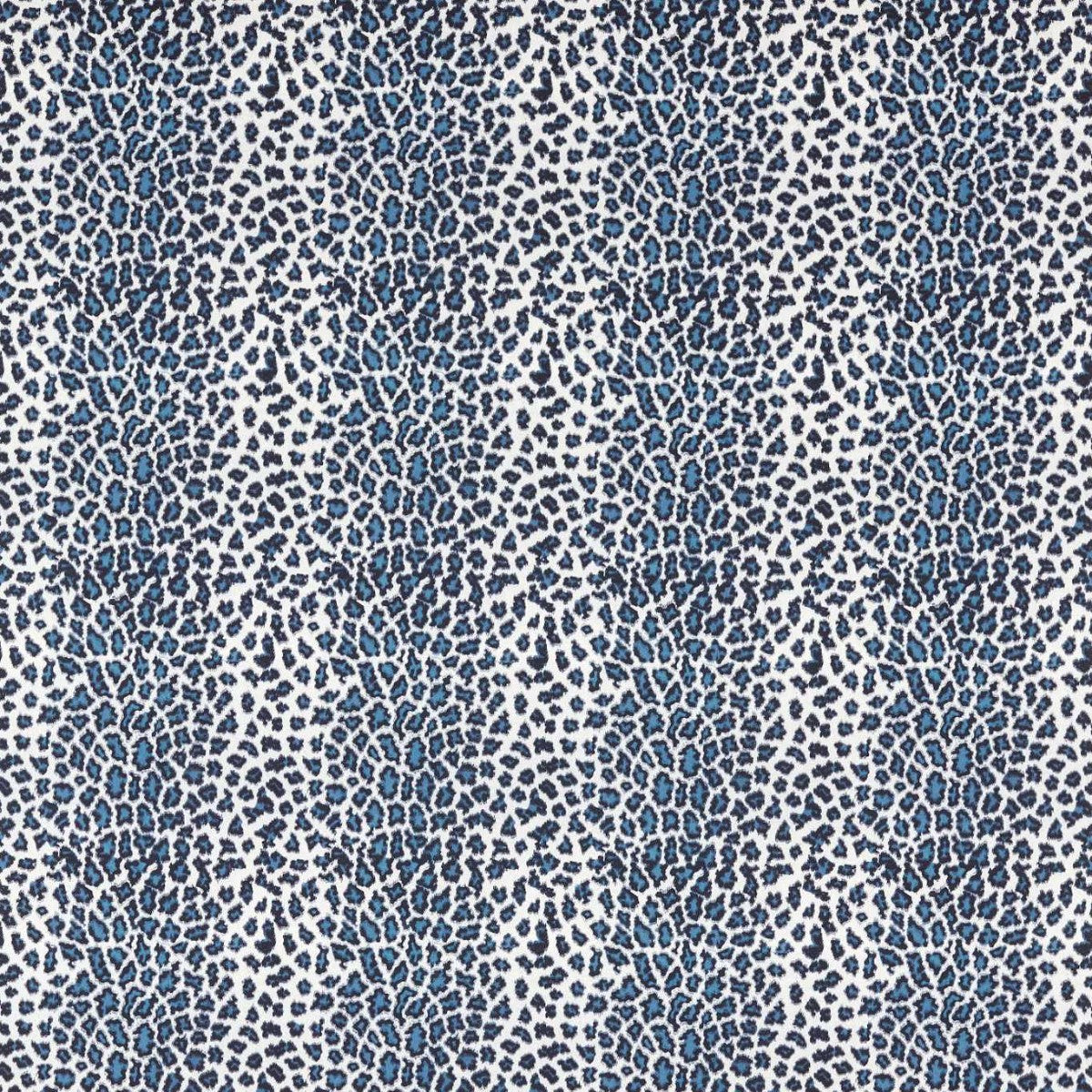 Harlequin | Amur