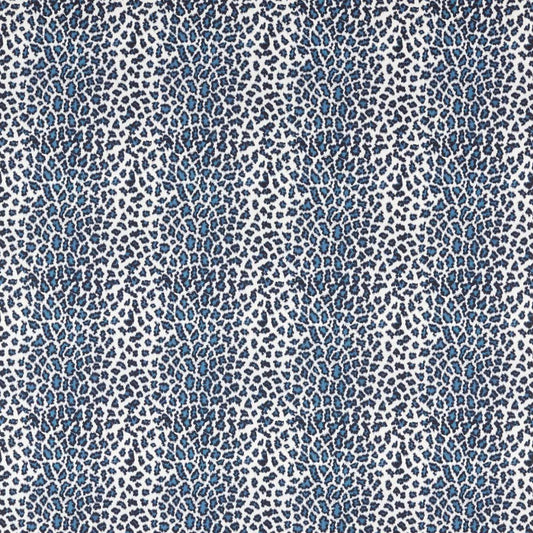 Harlequin | Amur