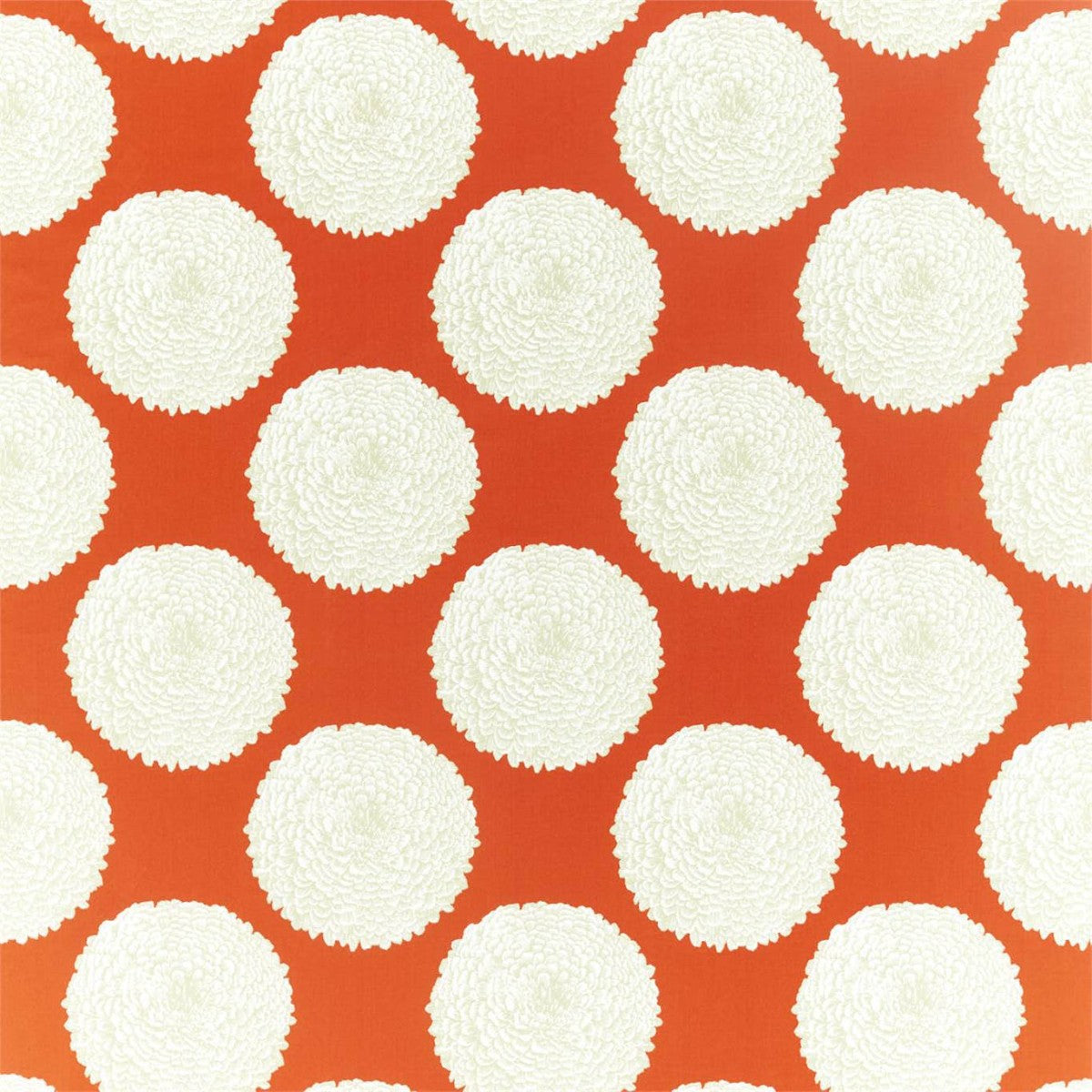 Harlequin | Elixity
