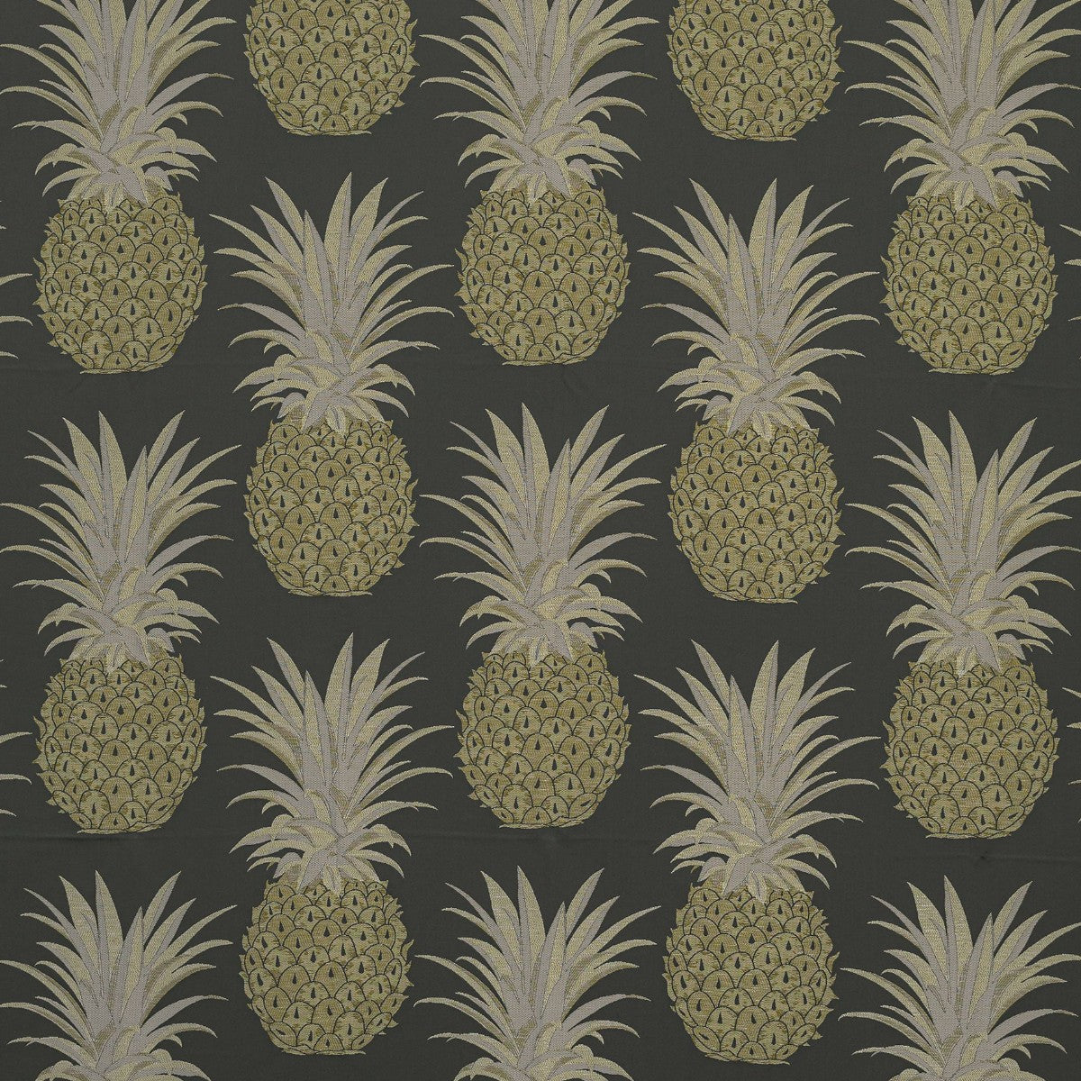 KAI | Aloha