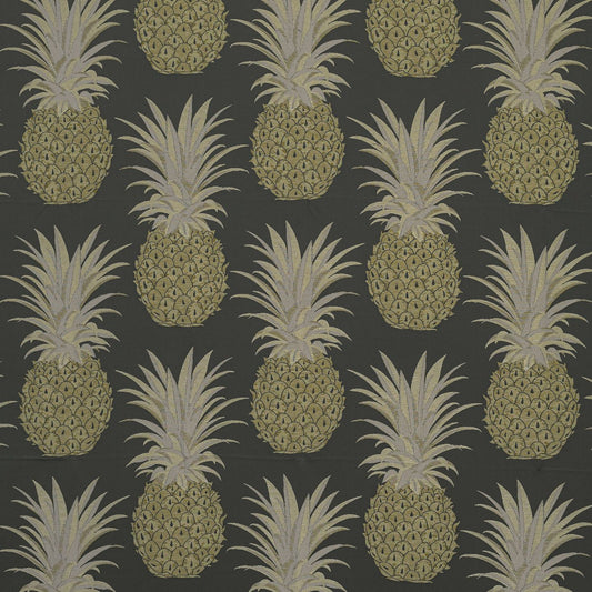 KAI | Aloha