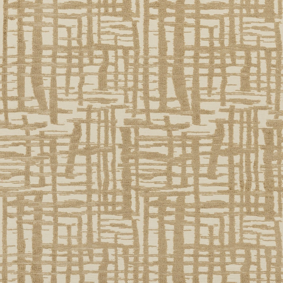 Nobilis | Charmille
