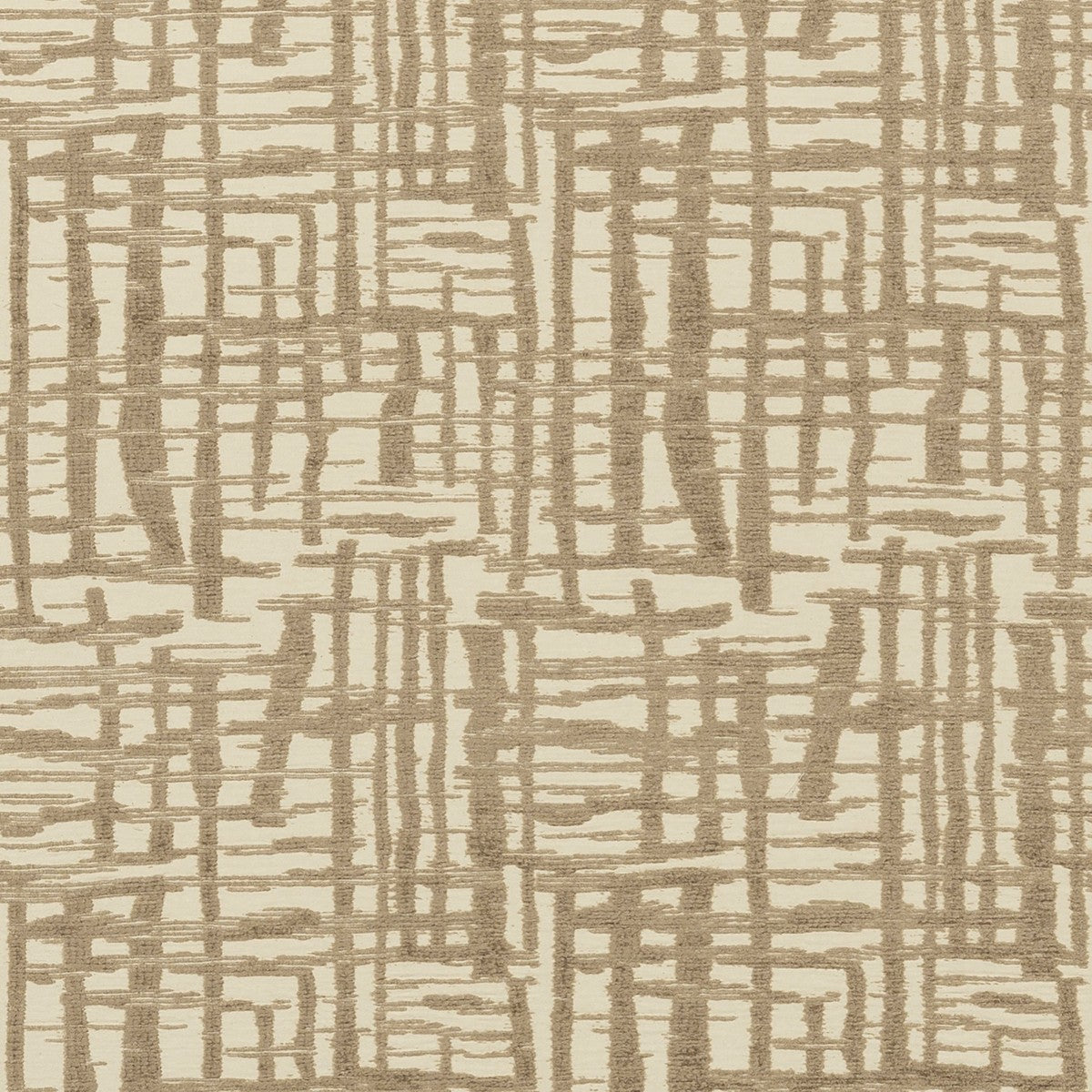 Nobilis | Charmille