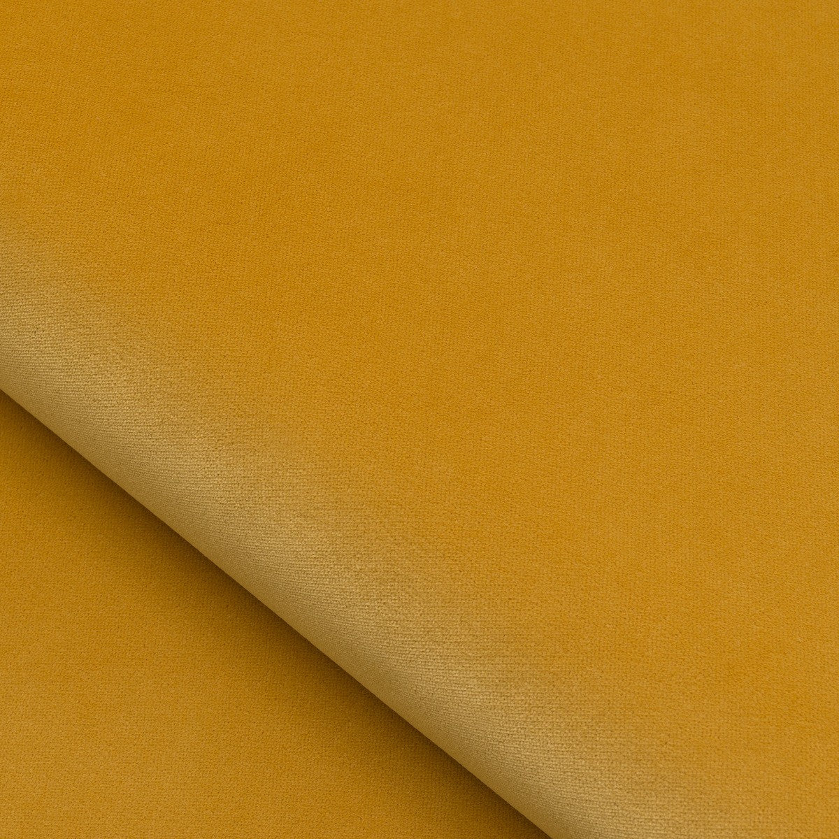 Nobilis | Velours Firenze
