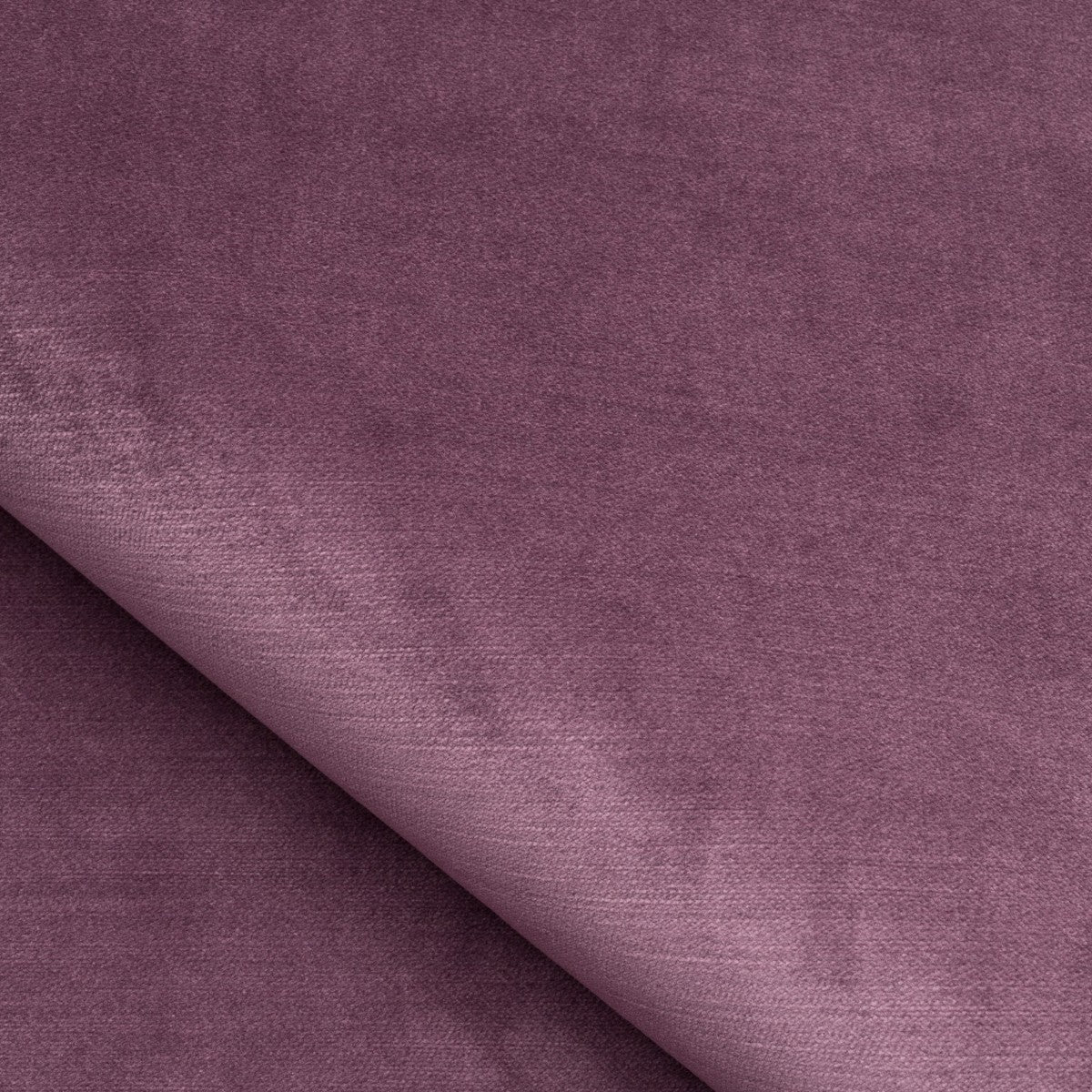 Nobilis | Velours Calder No 2