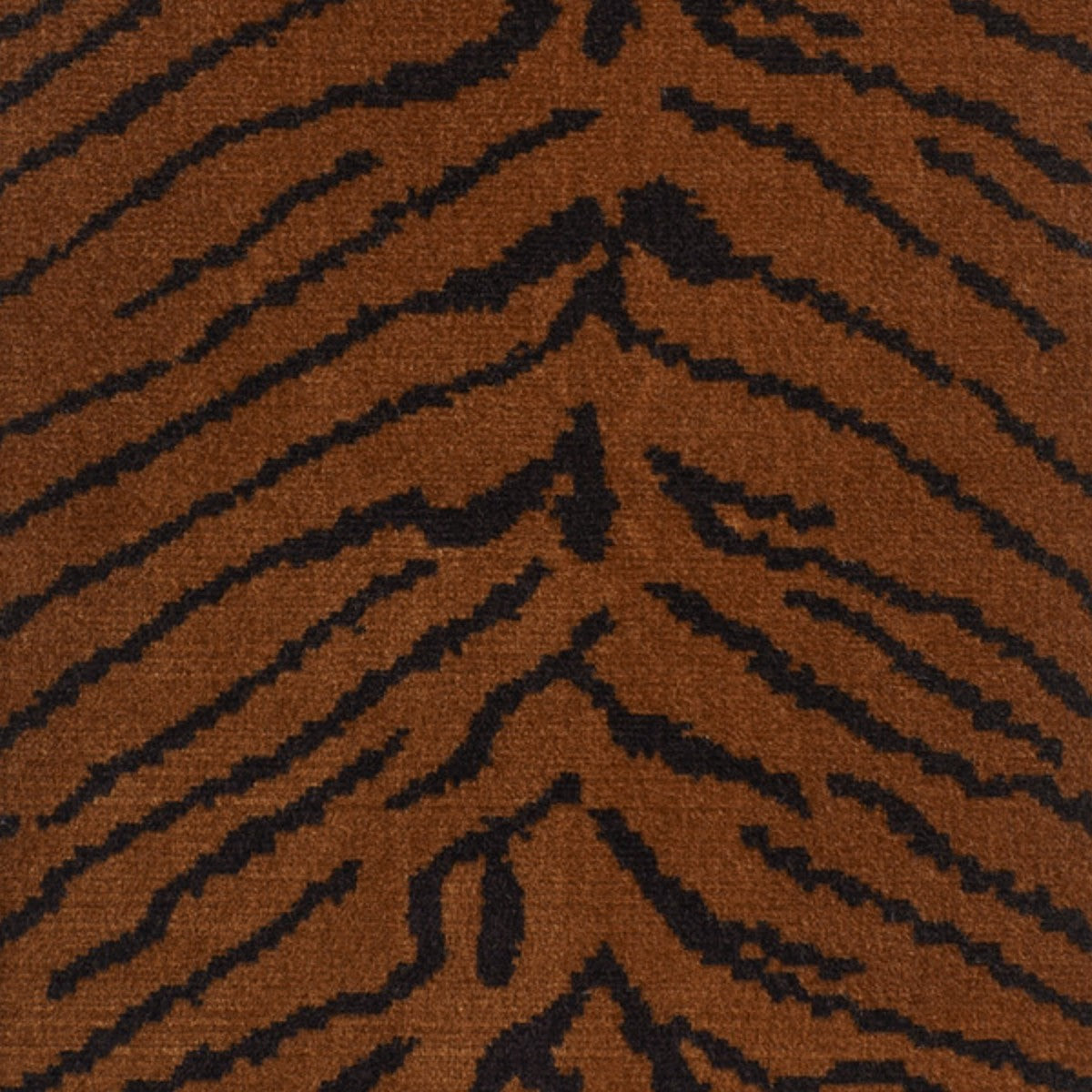 DEDAR | This Is The Tiger Speaking