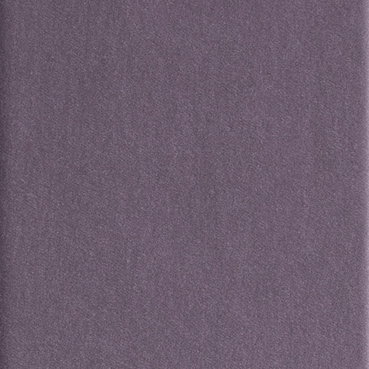 DEDAR | Alpaca Alto