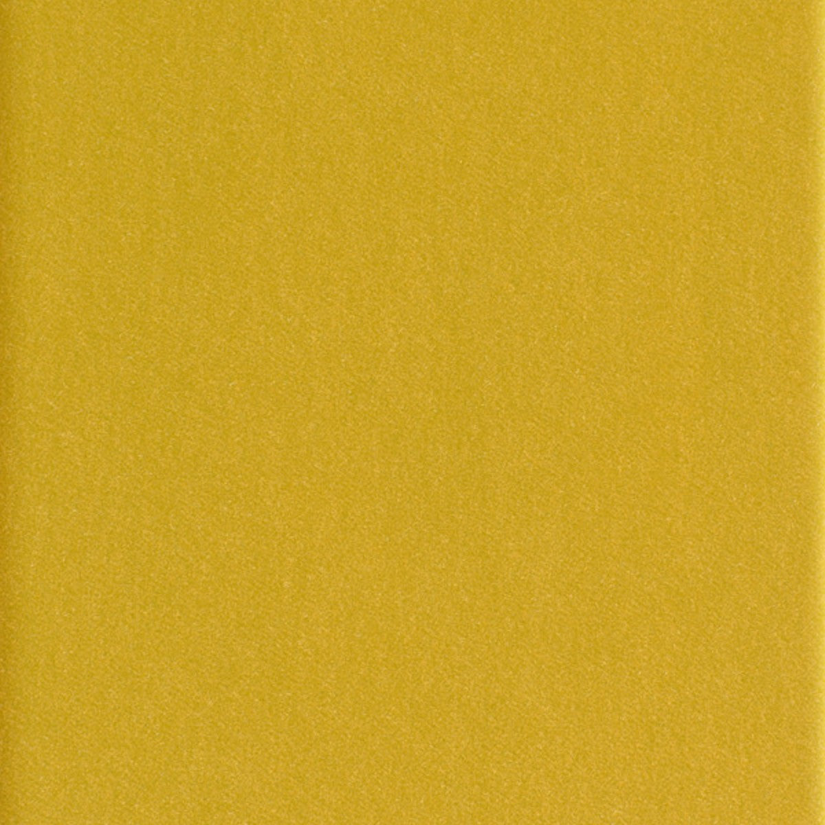 DEDAR | Alpaca Alto