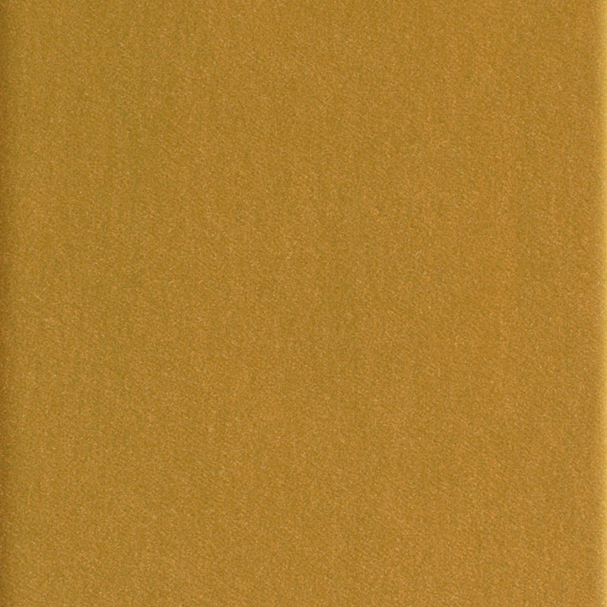 DEDAR | Alpaca Alto