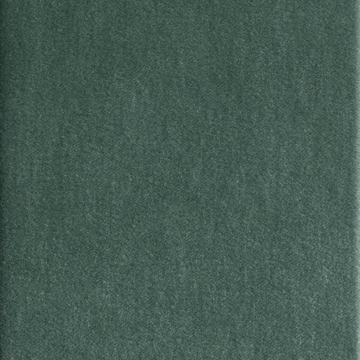 DEDAR | Alpaca Alto