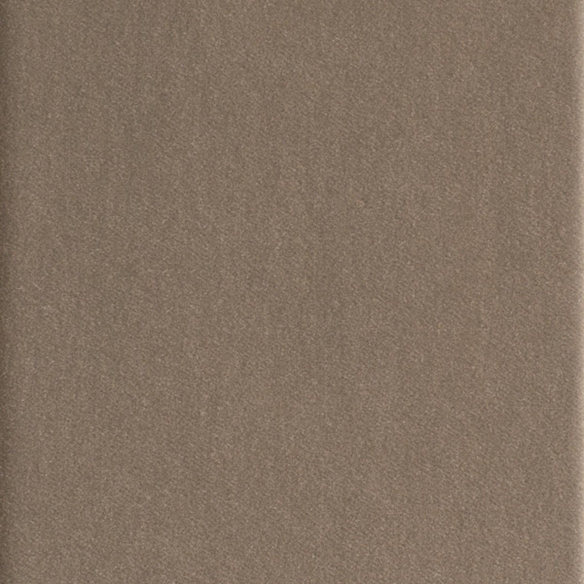 DEDAR | Alpaca Alto