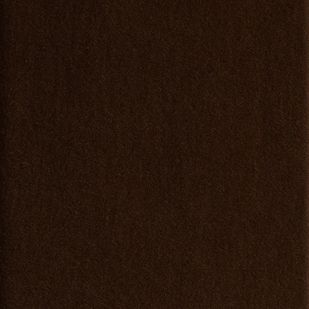 DEDAR | Alpaca Alto