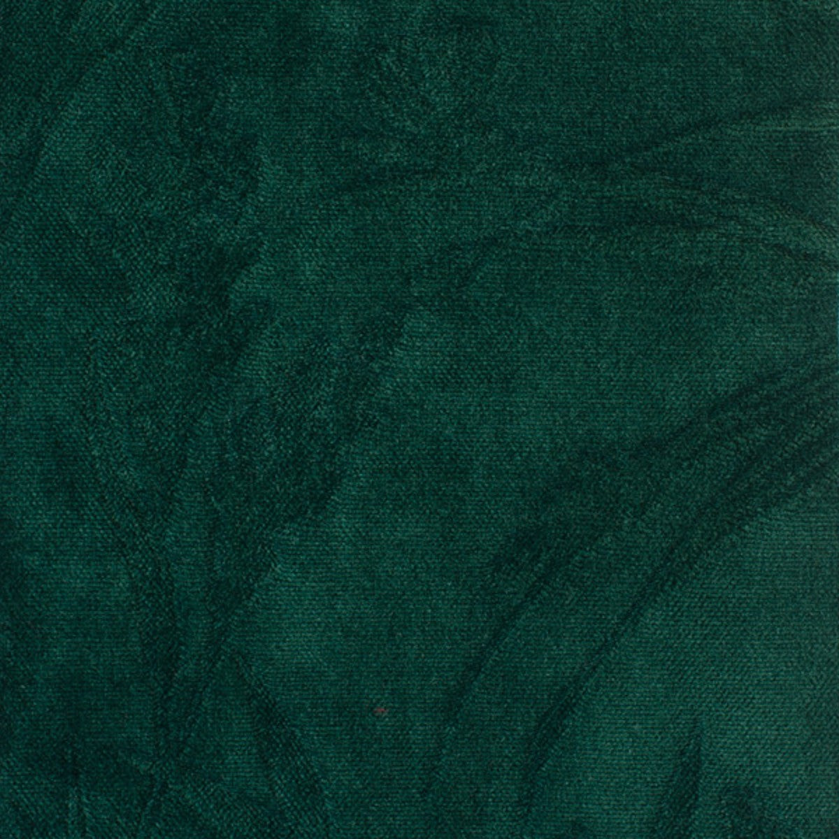 DEDAR | Il Giardino In Una Stanza
